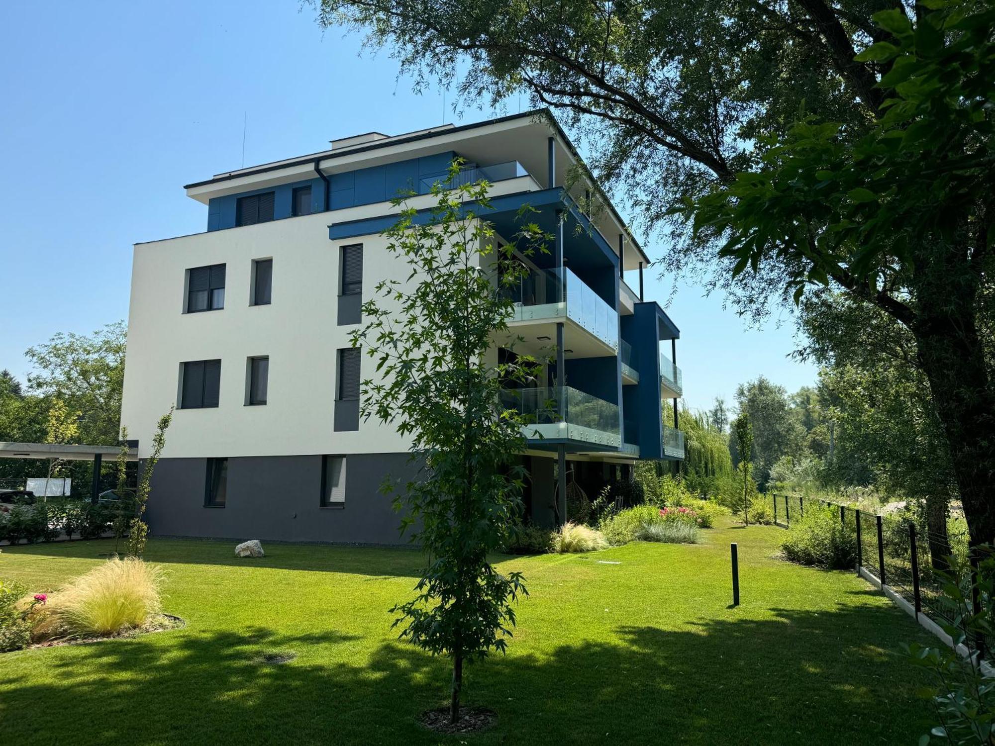 Willow Nest Apartment