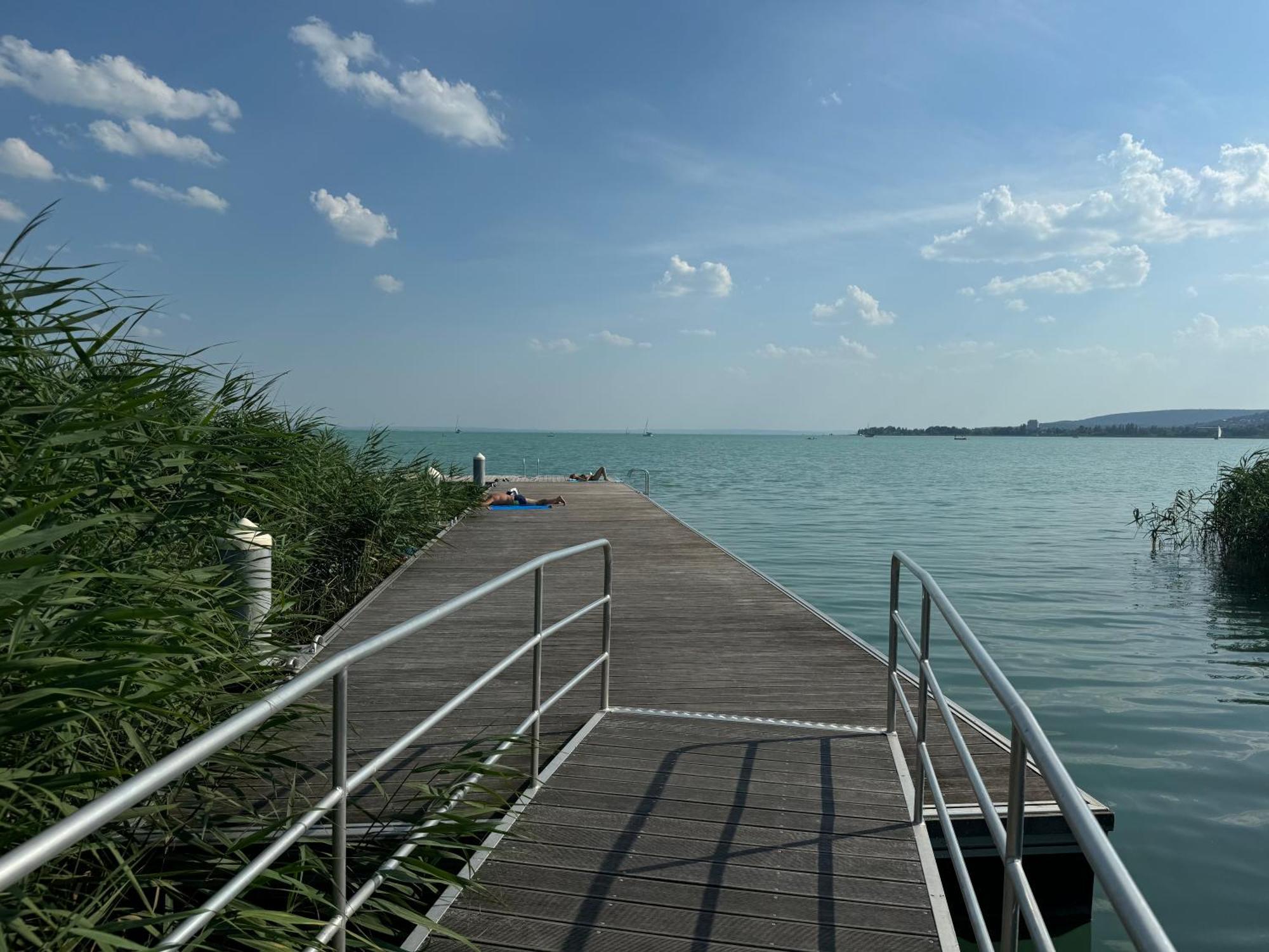 Willow Nest Apartment Balatonfuzfo